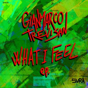 Download track What I Feel GianMarco Trevisan