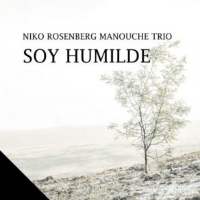 Download track Debajo Del Sombrero Niko Rosenberg Manouche Trio