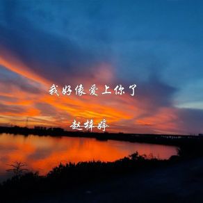 Download track 我好像爱上你了 (DJ Prog House) 赵梓婷