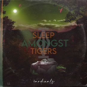 Download track Asleep / Awake Sleep Amongst Tigers