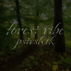 Download track Forest Vibe (Slowed&Reverb) Pstvsh1kReverb