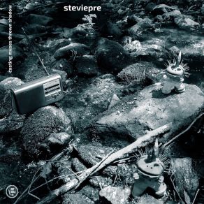 Download track Many Sins Medicines Stevie Pre