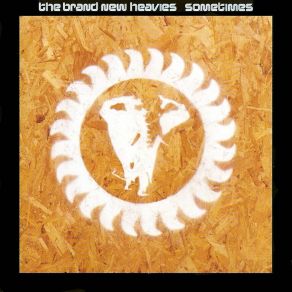 Download track Sometimes (Old Skool Diti'his Instrumental) The Brand New Heavies