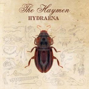 Download track Half Of My Life The Haymen