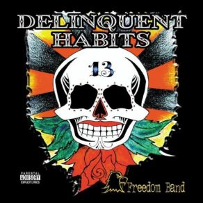 Download track 24 Delinquent Habits