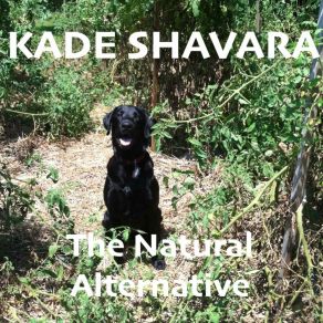 Download track Pop N Slap Kade Shavara