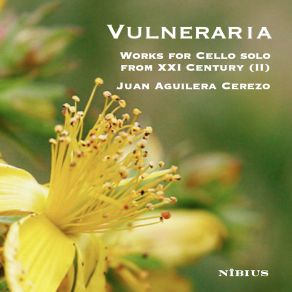 Download track N. Yuhng - Sonata For Solo Cello (I) Juan Aguilera Cerezo