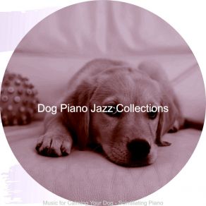 Download track Incredible Solo Piano Jazz - Vibe For Relaxing Dogs Dog Jazz Collections