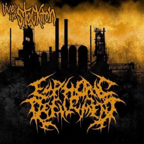 Download track Ascending To The Worms Euphoric Defilement