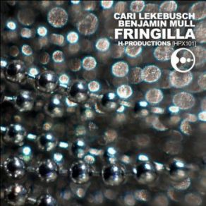 Download track Fringilla Cari Lekebusch, Benjamin Mull