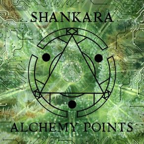 Download track Into The Wild. Shankara Live