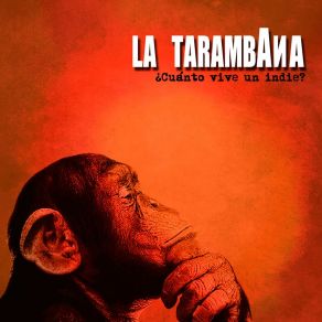 Download track Celebrando La Locura De La Vida La Tarambana