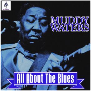 Download track Sugar Sweet Muddy Waters