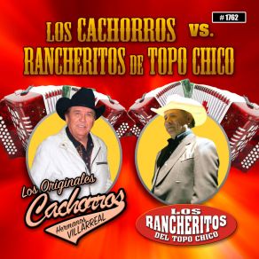 Download track Chiquita Encantadora Los Originales Cachorros Hermanos Villarreal