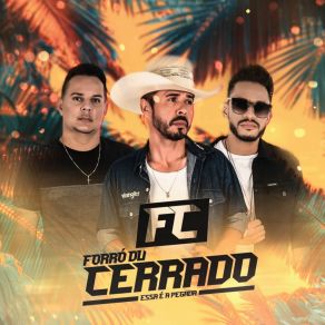 Download track A Gente Se Entrega Forró Du Cerrado Official