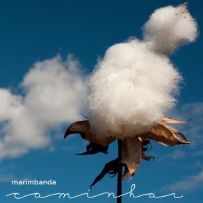 Download track Duarteana Marimbanda