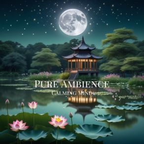 Download track Peaceful Sensations Relaxing