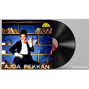 Download track Bang Bang (My Baby Shot Me Down) (A) Ajda Pekkan