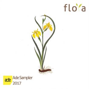 Download track Burn It Down (Original Mix) Flora