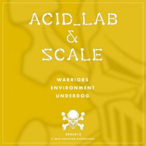 Download track Warriors Scale, Acid Lab