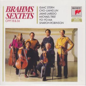 Download track Sextet In G Major For Two Violins, Two Violas, And Two Cellos, Op. 36 IV. Poco Allegrio Yo - Yo Ma, Isaac Stern