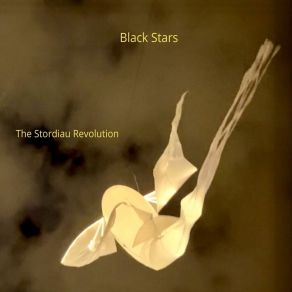 Download track Black Stars The Stordiau Revolution