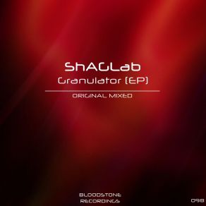 Download track Wanderer (Original Mix) ShAGLab