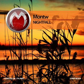 Download track Namib Montw