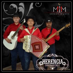 Download track Dicen Que Soy Mandilón Herencia Ensenadense