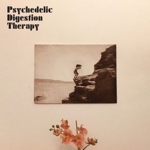 Download track Egipcia Psychedelic Digestion Therapy