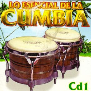 Download track Colegiala Cumbia