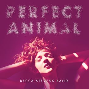 Download track Reminder Becca Stevens Band