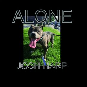 Download track Dewey Josh Harp