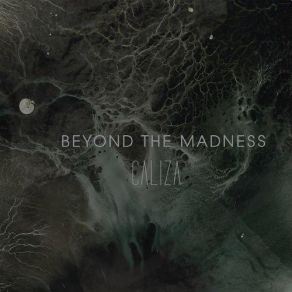 Download track Portrait Of A Dream Beyond The Madness