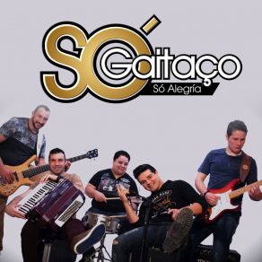 Download track Cumbia Sertaneja SO GAITAÇO