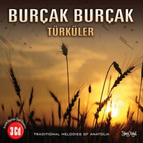 Download track Dağlar Kızı Reyhan Burçak Burçak Türküler