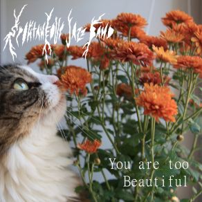 Download track You Are Too Beautiful Spontaneous Jazz Band