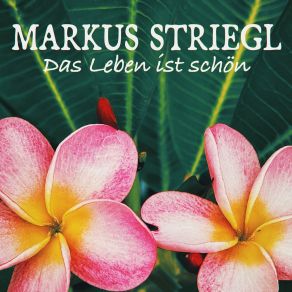 Download track Das Leben Ist Schön (Karaoke Version) Markus Striegl