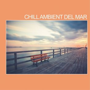 Download track Stillness Diego Damiani