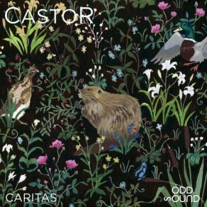 Download track Minister Salutis Castor