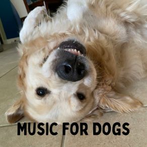 Download track Peaceful Thoughts Calm Pets Music Academy