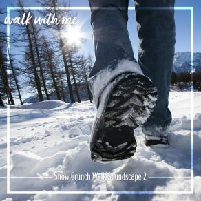 Download track Snow Crunch Walk Soundscape, Pt. 5 Daniel Dodik