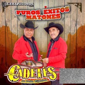 Download track Corrido De Pancho Villa Cadetes De Polo Tijerina