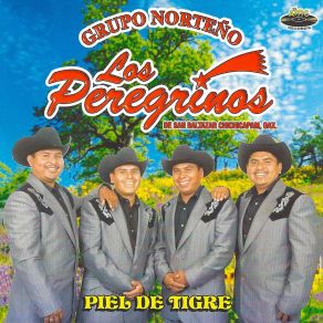 Download track Que Nos Enseñe Su Pasito Grupo Norteño