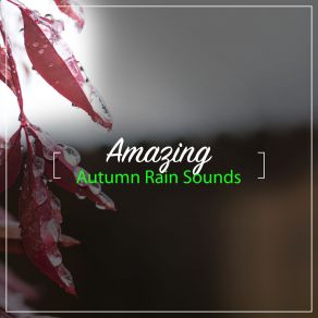 Download track Quiet Rain Shower Deep Rain Sampling