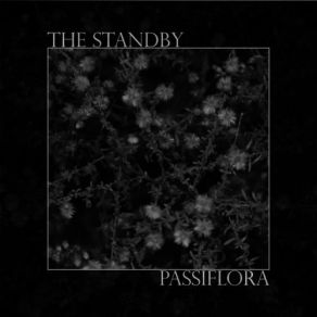 Download track Passiflora Standby