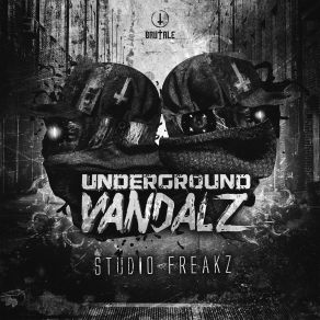 Download track Studio Freakz (Edit) Underground VandalzEDit, Red Pill