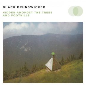 Download track Heron Song (He Waits In The Fog) Black Brunswicker