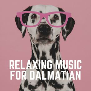 Download track More Than He Loves Himself Dog Relaxation