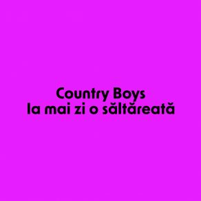 Download track Brasoveanca Country Boys